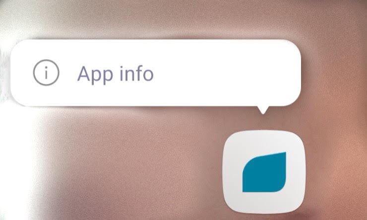 app info option on app icon